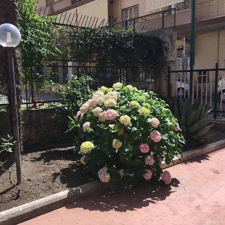 לינה וארוחת בוקר B&B Antea